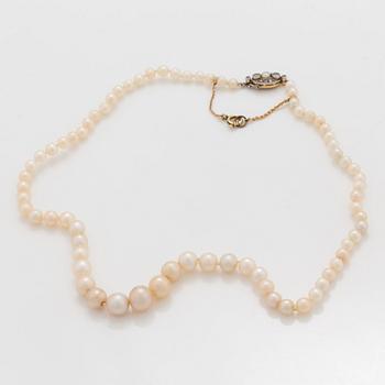 A natural saltwater pearl necklace. Pearls Ø 3.8 - 8.8 mm. Clasp in gold with diamonds.