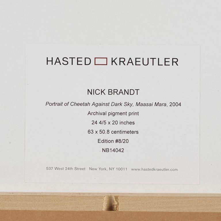 Nick Brandt, "Portrait of Cheetah Against Dark Sky, Masai Mara, 2004".