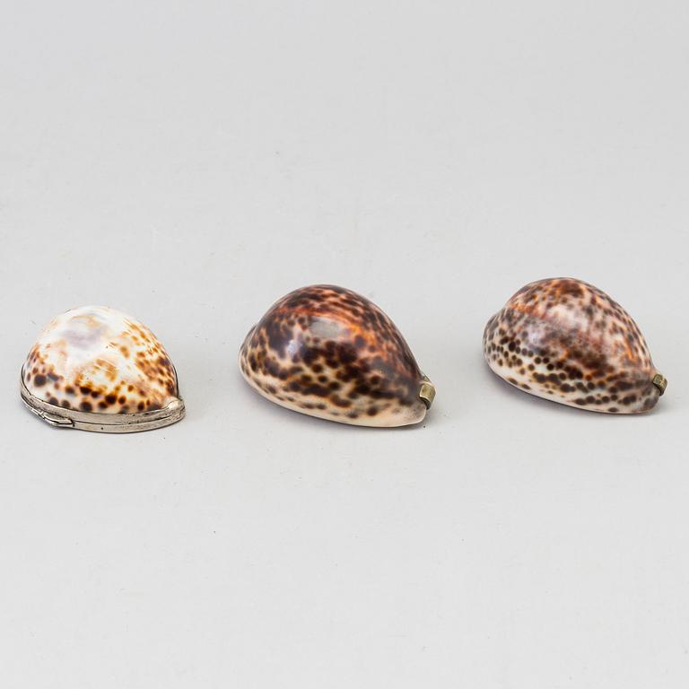 THREE COWRIE SHELL SNUFF BOXES, 19th century.