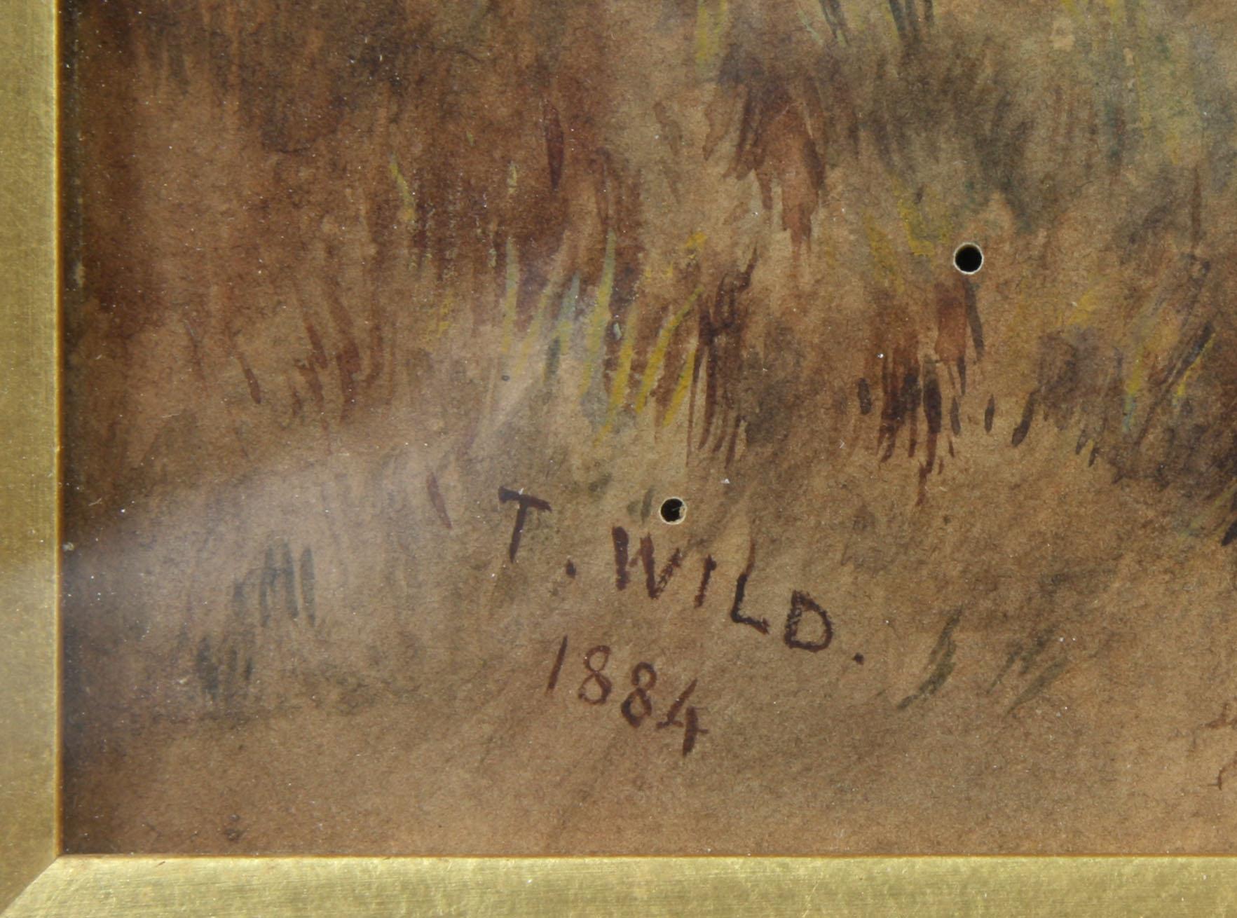 OKÄND KONSTNÄR, akvarell, sign o dat "T WILD 1884".