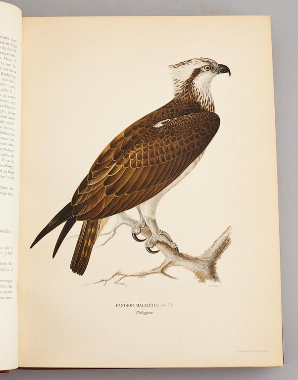 A set of three books about Swedish birds by von Wright. 1927.
