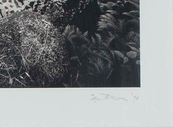 JYRKI PARANTAINEN, fototryck, sign o dat -90.