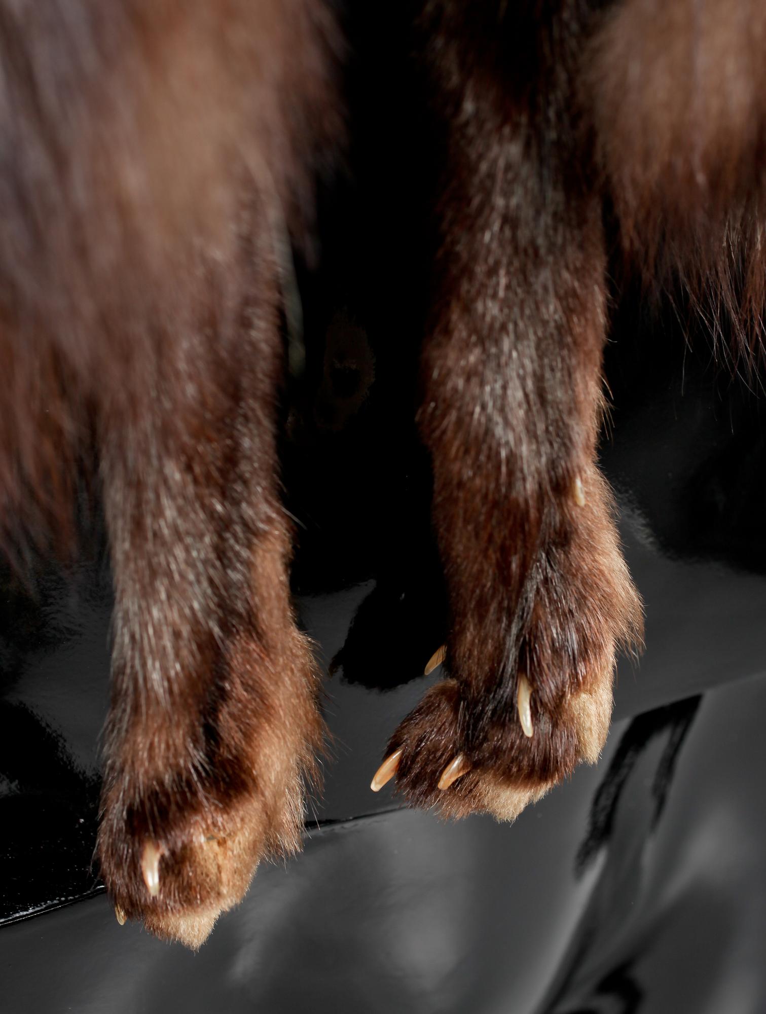 BOLERO, rävpäls, Basel.