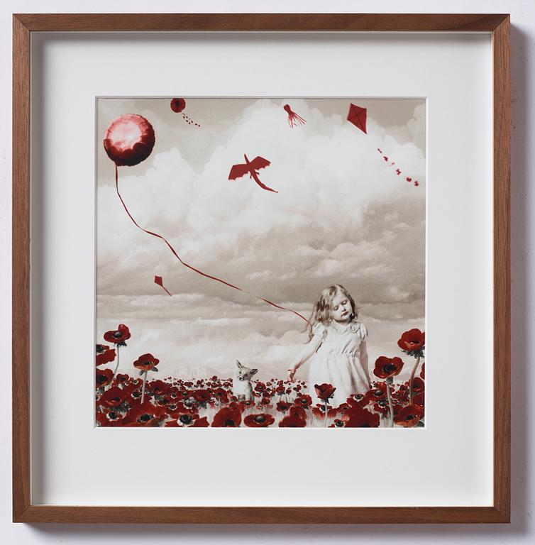 Helena Blomqvist, "Field of Red Anemones", 2012.