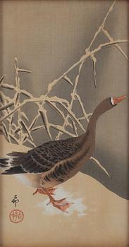 Ohara Koson, "Wild Goose in snow".