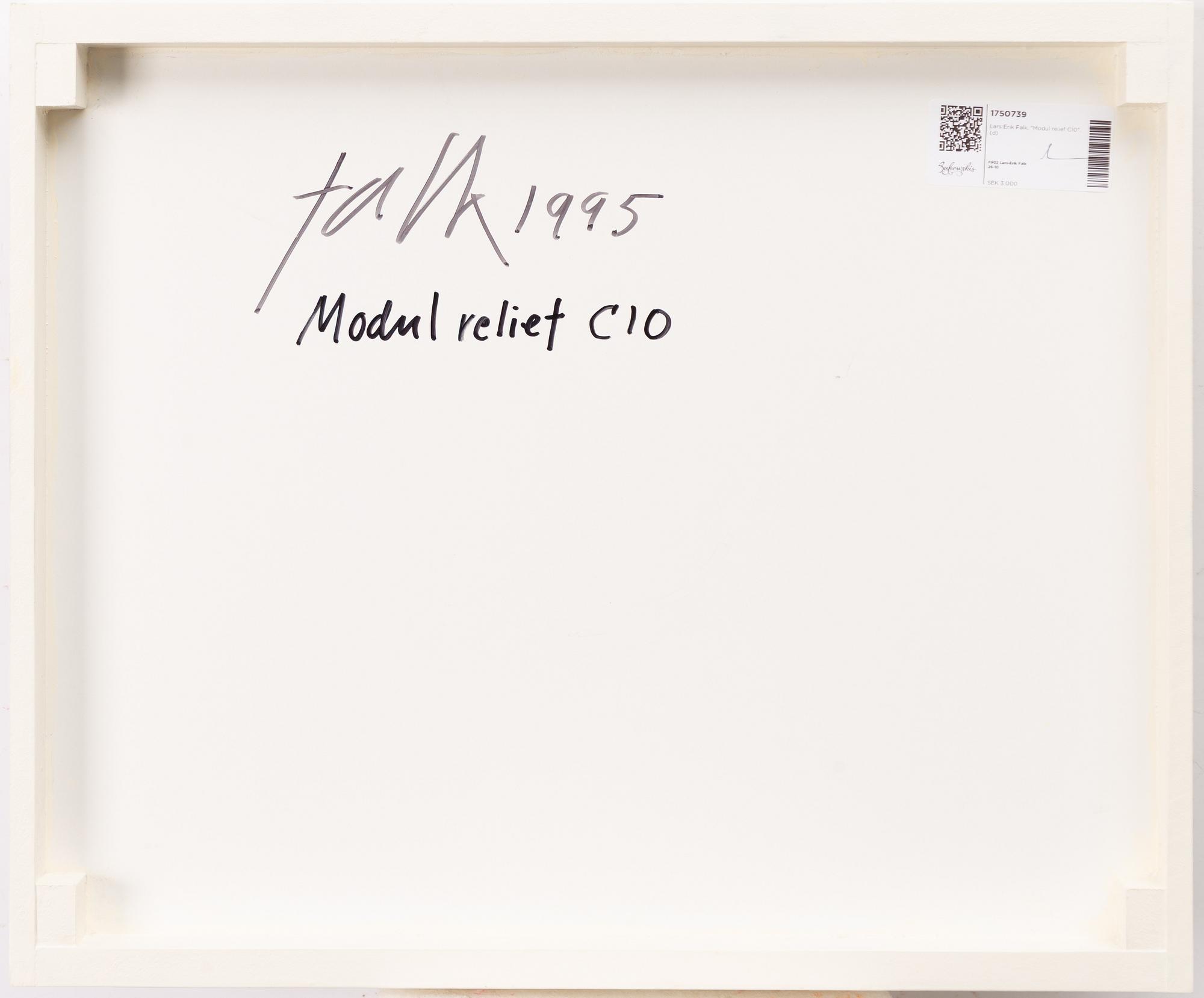 Lars Erik Falk, "Modul relief C10".