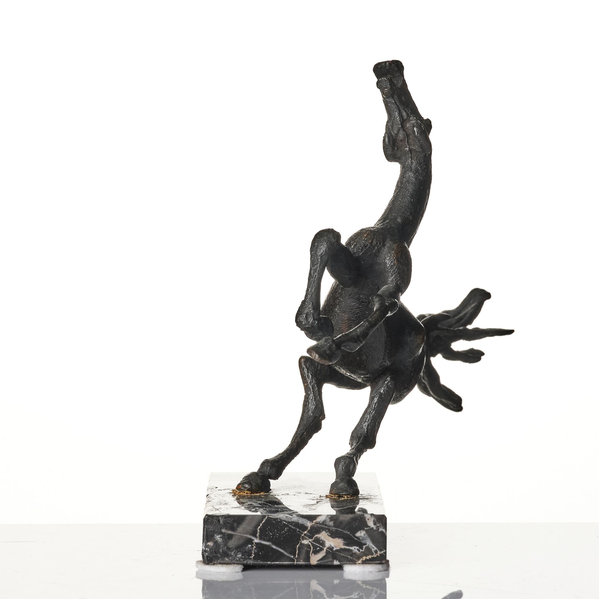 Sergio Capellini, stegrande häst.