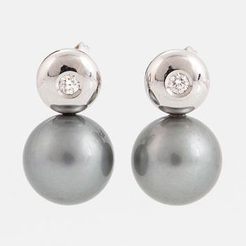 Cultured Tahiti pearl earrings with brilliant-cut diamonds.