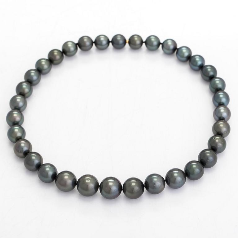 A cultured Tahitian pearl necklace.