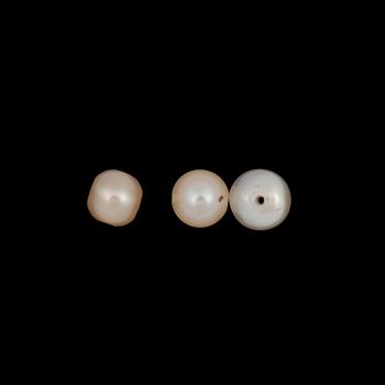 PEARLS, natural, bought in China in 1920. Not strung.