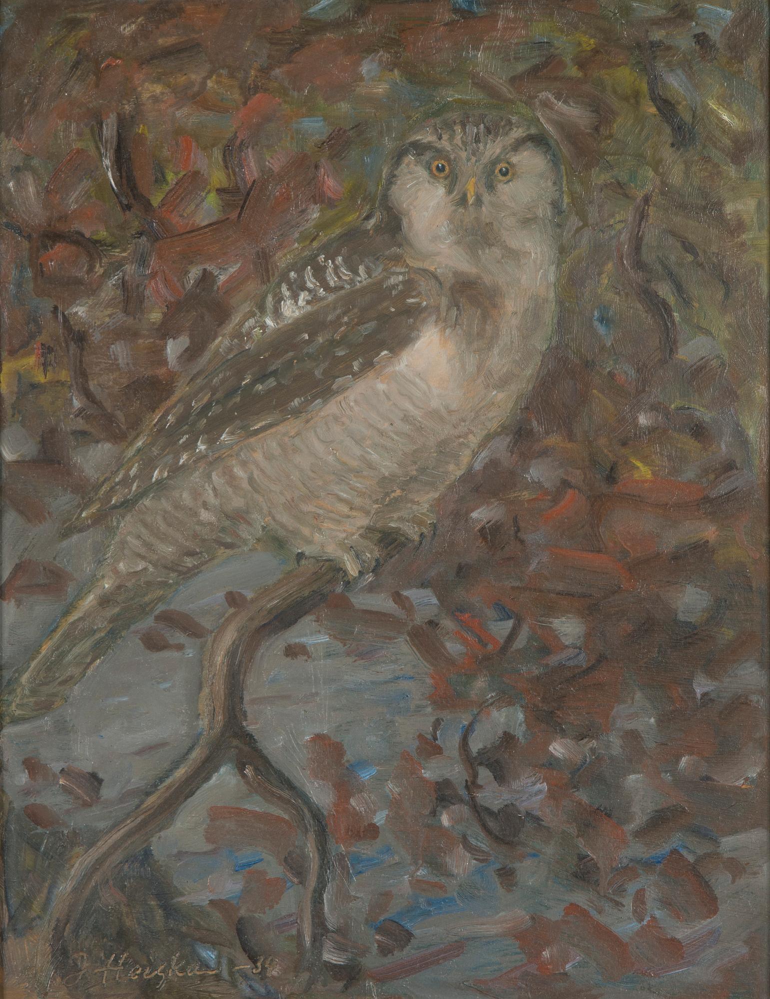 Jonas Heiska, Hiiripöllö.