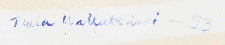 Tuula Wallatsaari, Untitled.