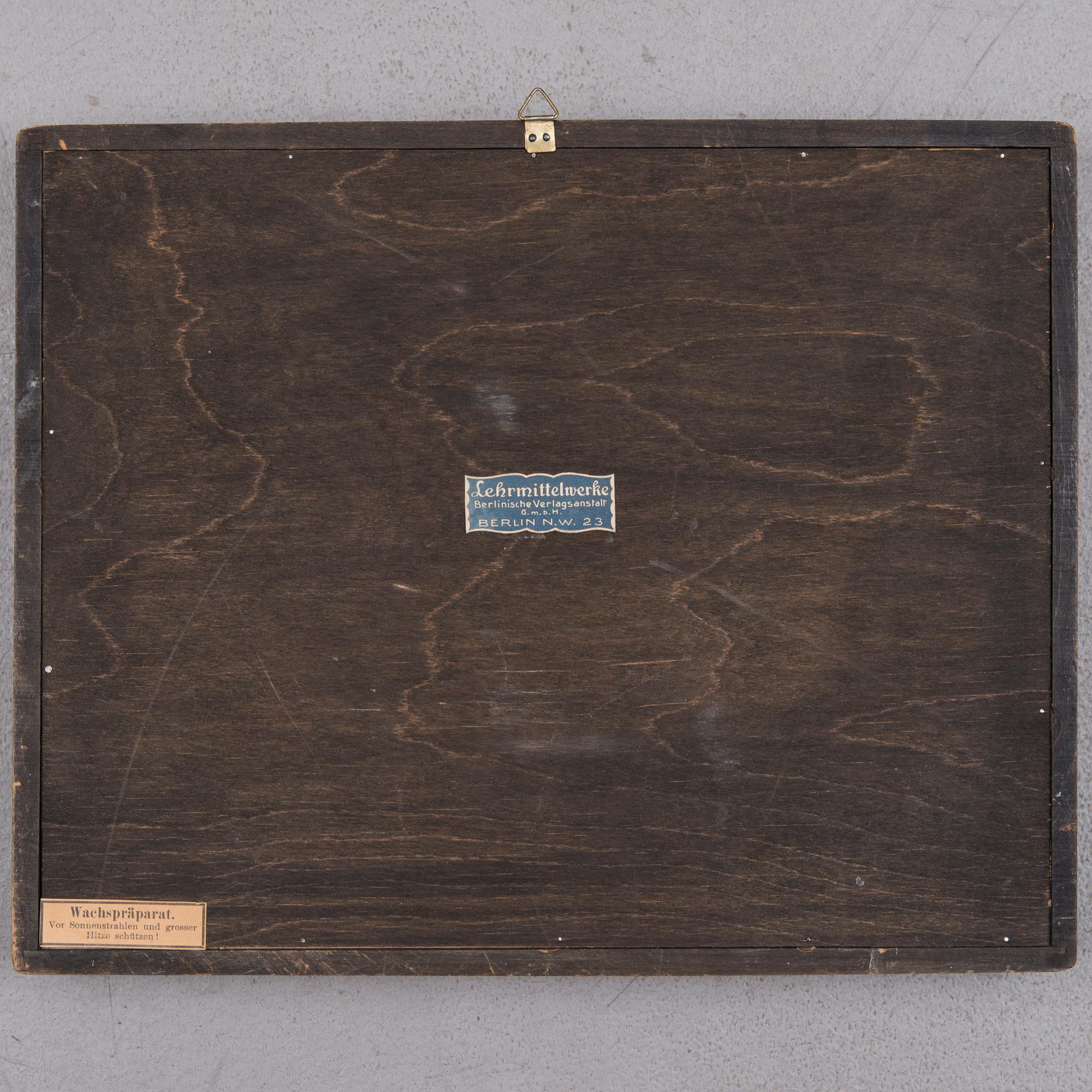 BIORAMA, Berlin, Tyskland, 1920-tal.