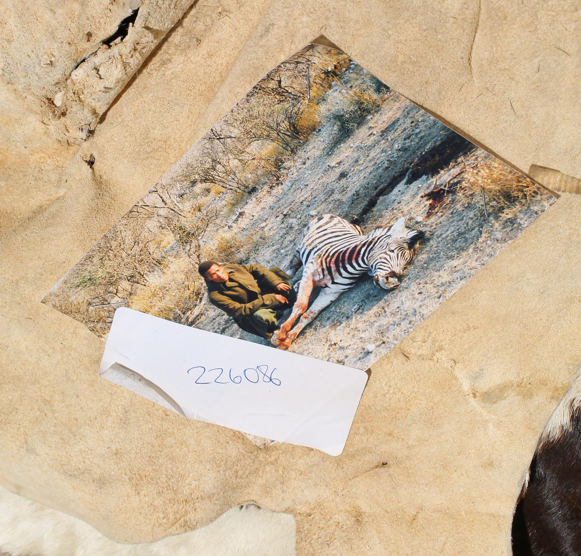 ZEBRASKINN, Namibia, 1988.