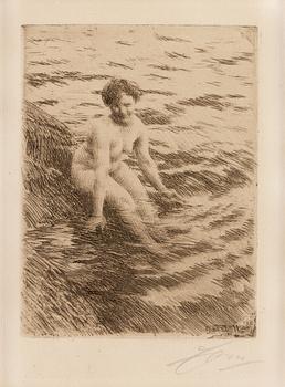 682. Anders Zorn, "Vått".