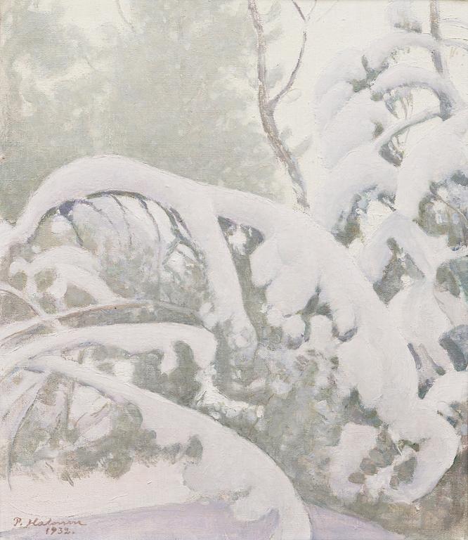 'SNOWY BRANCHES' ('LUMISIA OKSIA').