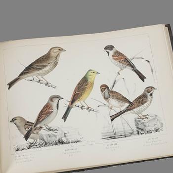 BOK, "Svenska Foglarna" av Carl Jacob Sundevall och JGH Kinberg, Stockholm 1856-85.