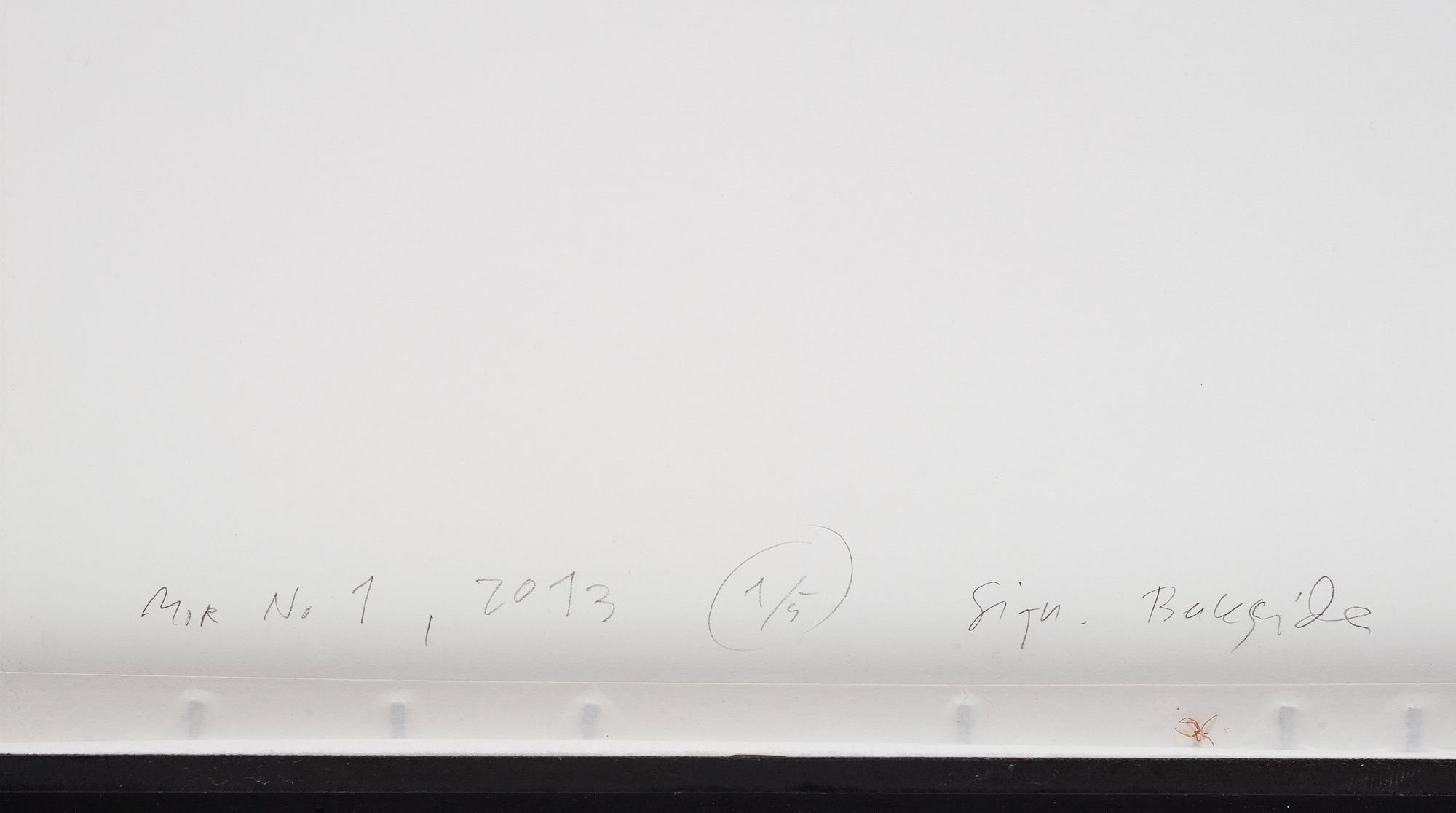 Dawid (Björn Dawidsson), "MOR No. 1", 2013.