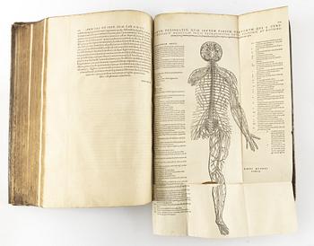 Andra och bästa upplagan av Vesalius’ anatomiska praktverk, 1555.