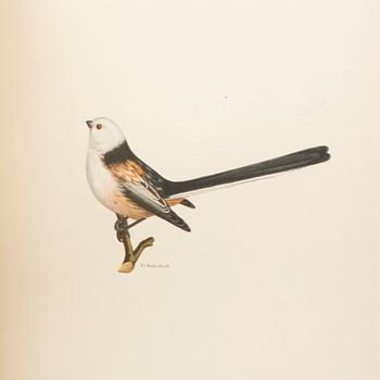 BOKVERK, 2 volymer, "Svenska fåglar",  M.W. & F von Wright. Stockholm, 1924.