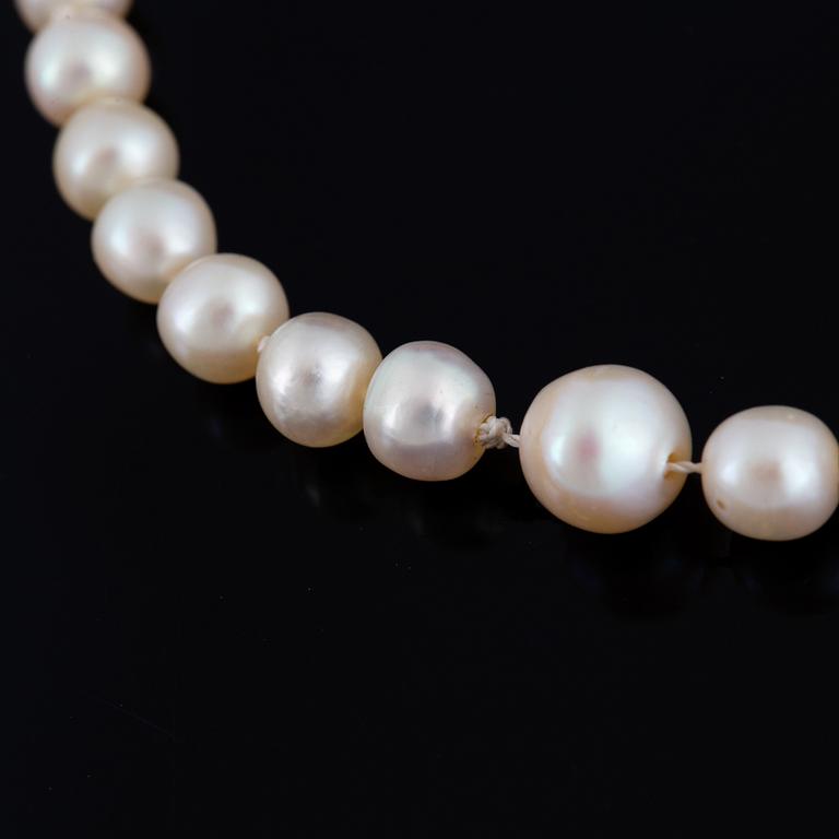 Cultured pearl necklace, clasp white gold with old-cut diamond.