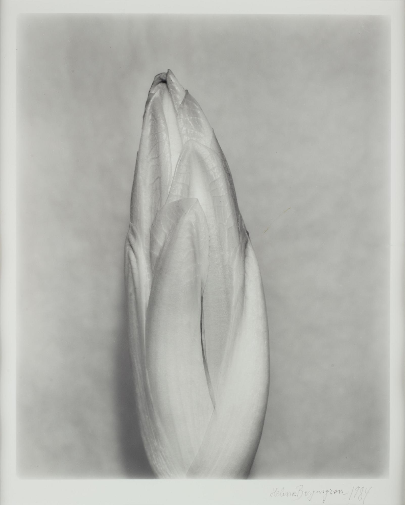 Helena Bergengren, photograph signed and dated.