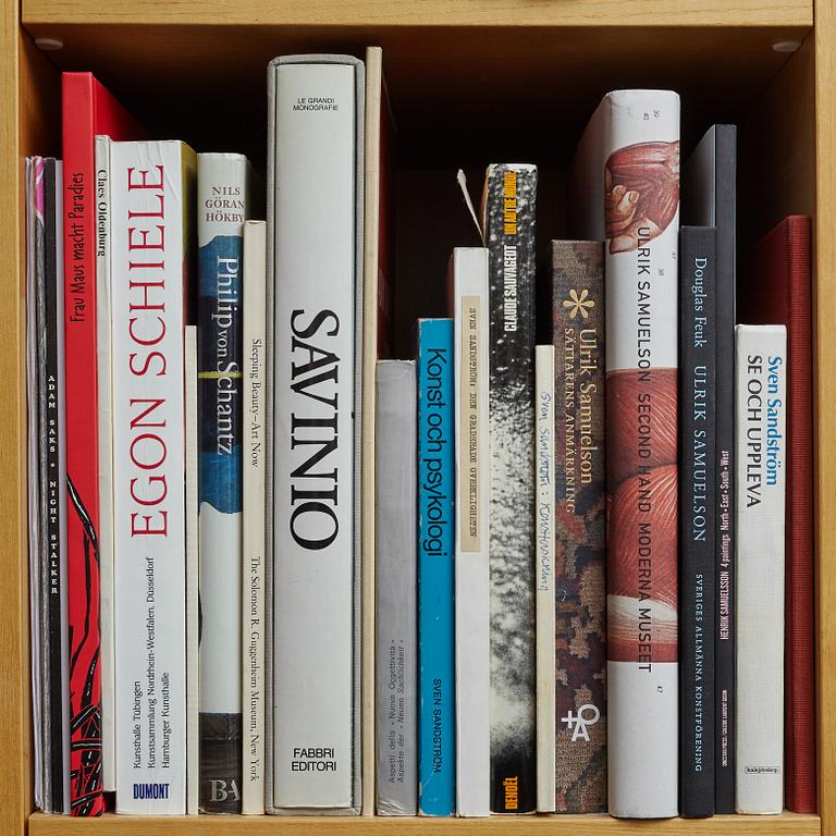 Björn Springfeldt's art library.
