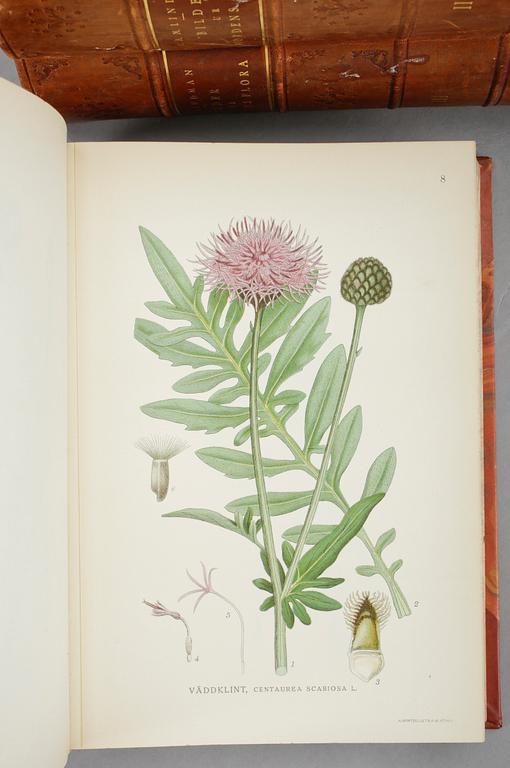 BÖCKER, 3 vol, "Bilder ur Nordens Flora" av CAM Lindman, 1922 och 1925.