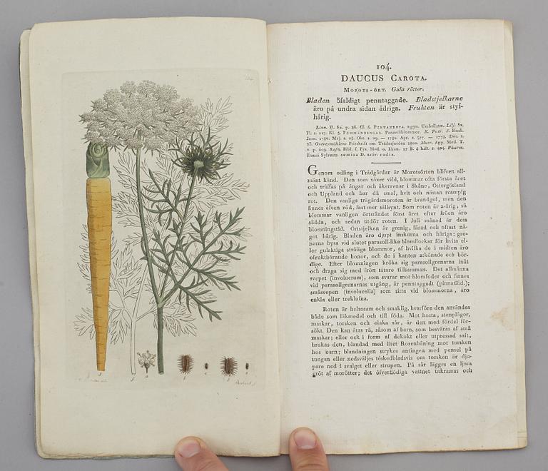 JOHAN WILHELM PALMSTRUCH, "Svensk Botanik, vol I-V. 1803-1805.