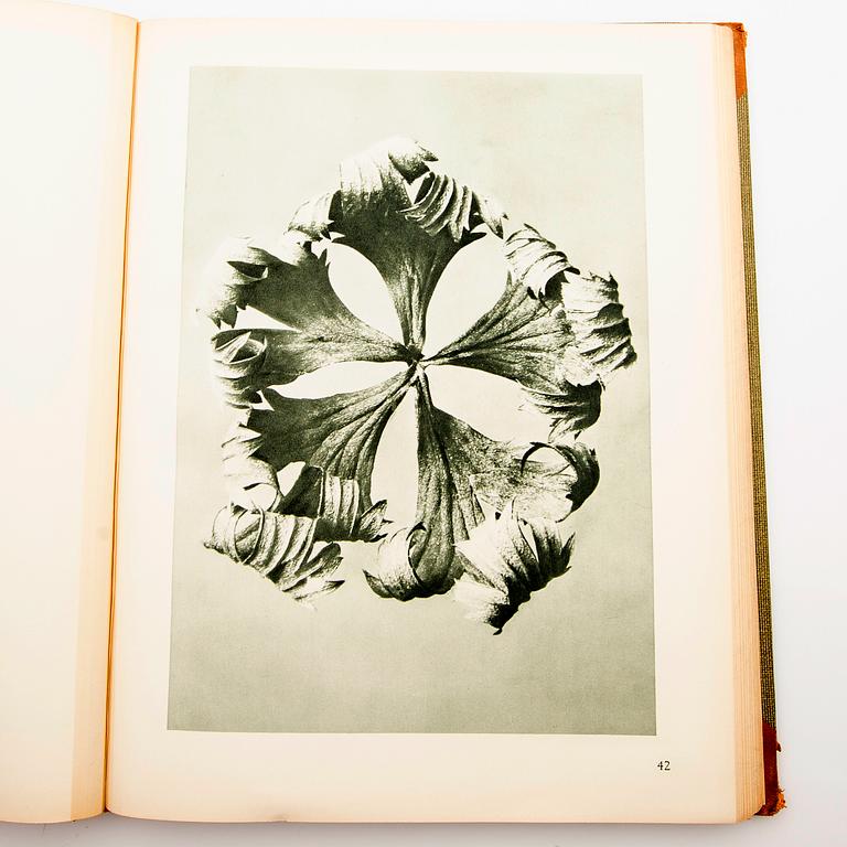 Book, "Art Forms in Nature", Karl Blossfeldt, Spamersche Buchdruckerei, Leipzig, 1930.