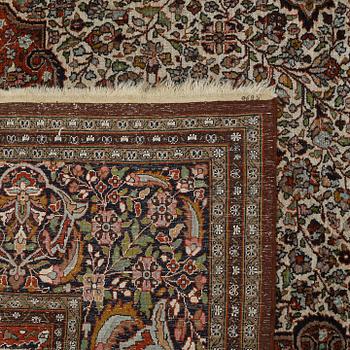 MATTA, Kashmir, old, 306 x 214 cm.