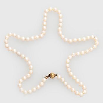 Kaulakoru, viljeltyjä Akoya-helmiä, lukko kullattua hopeaa.