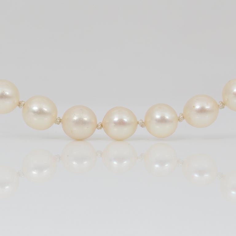 PÄRLCOLLIER, odlade saltvattenspärlor, lås i 18K guld med åttkantslipade diamanter och safir.