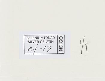 Lennart Nilsson,  "Isbjörnsjakt vid Hvitøya (Vitön), Svalbard, Norge 1947".