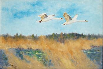 Bruno Liljefors, Flying swans.