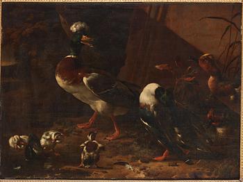 Melchior de Hondecoeter Attributed to, A duck family by the water.