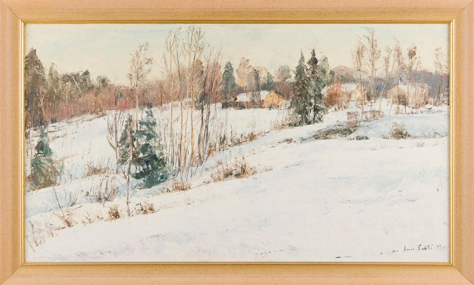 Aares Salli, Vinterlandskap.