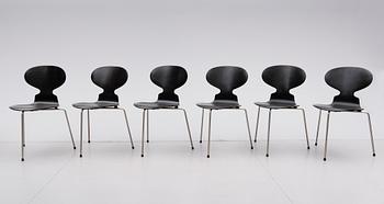 STOLAR, 6 st, "Myran", Arne Jacobsen för Fritz Hansen, 1900-talets mitt.