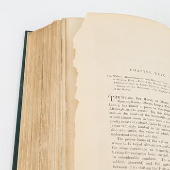 L. Lloyd, The Game Birds and Wild Fowl of Sweden and Norway, London Frederick Warne and Co 1867.