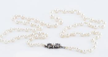 A cultured pearl necklace.