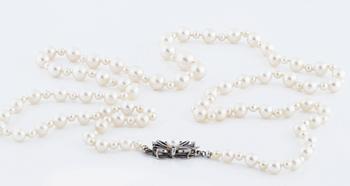 A cultured pearl necklace.