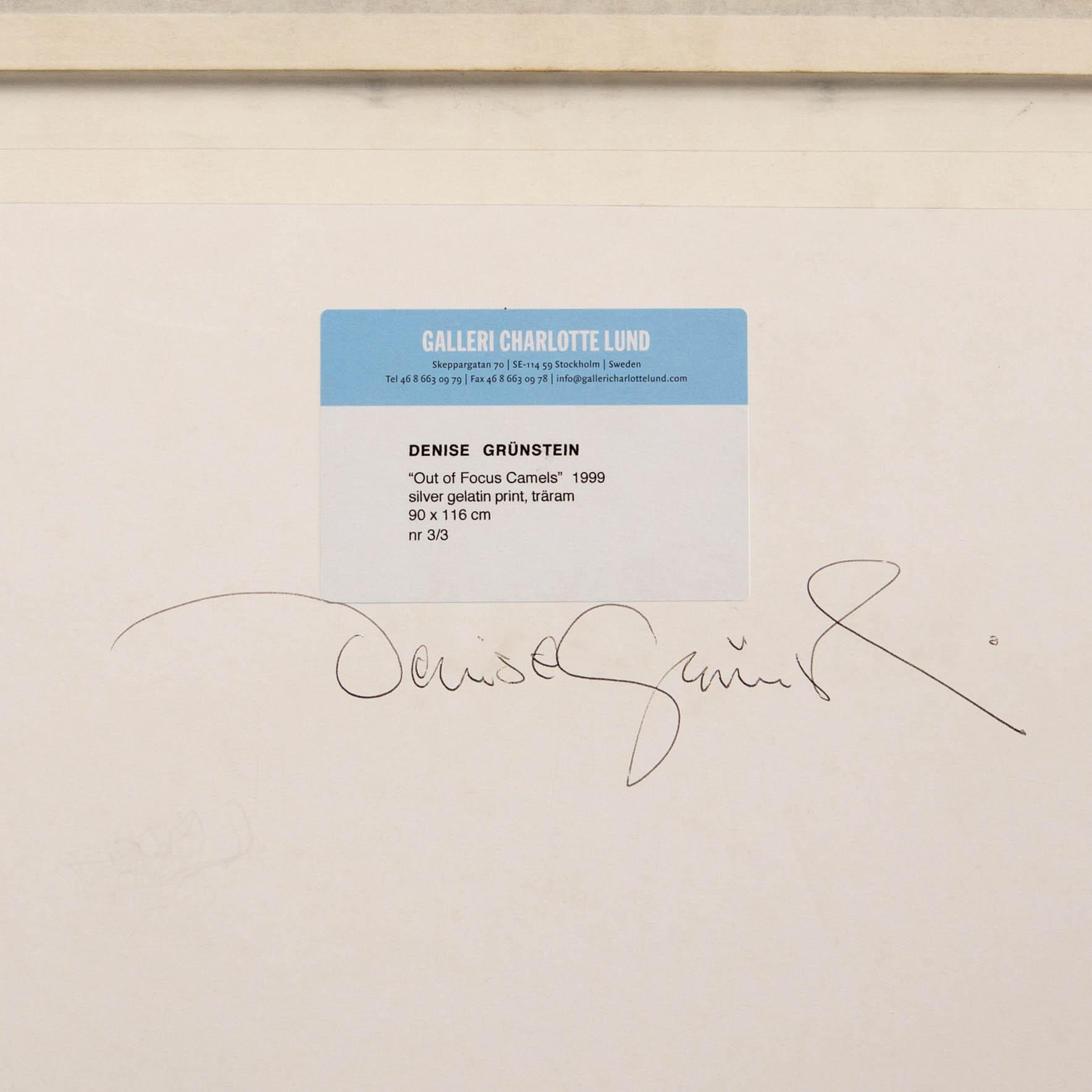 Denise Grünstein, "Out of focus camels" 1999.