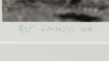 Håkan Ludwigson, "Londolozi", 2008.