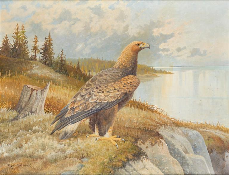 Ejnar Kohlmann, Eagle.