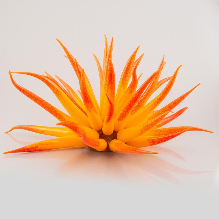 Jonas Rooth, 'Agave'.