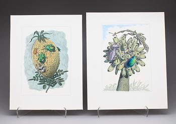 KARL AXEL PEHRSON, mapp med 10 färglitografier, "Vyer från Nirak", sign o numr 37/285. 1973.