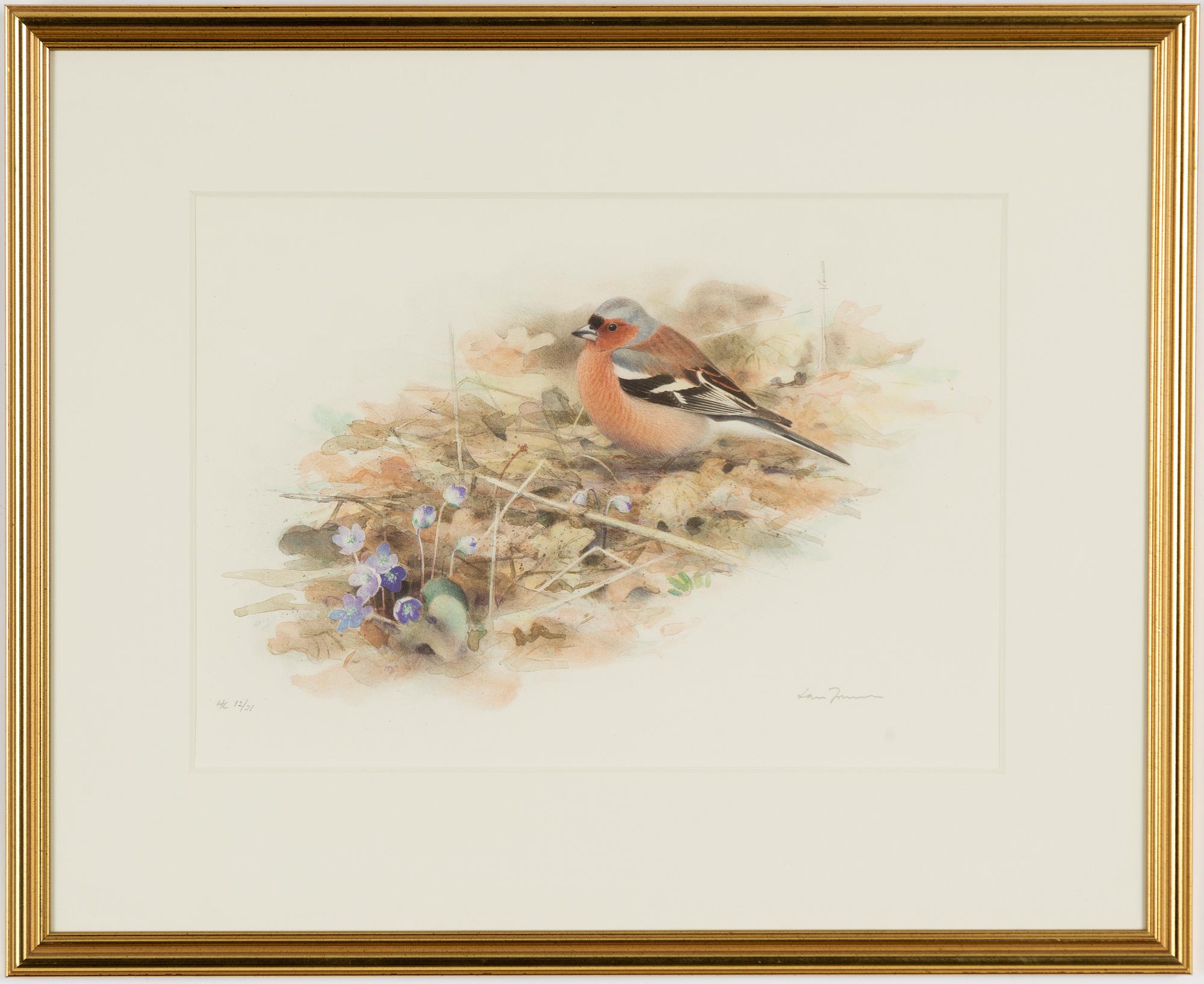 Lars Jonsson, Chaffinch.