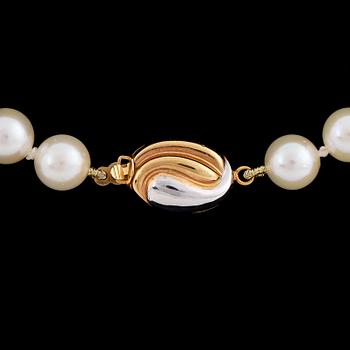 Cultured pearl necklace.