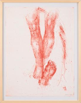 Suzanne Nessim · SUZANNE NESSIM, färglitografi, signerad o numrerad 84/95.