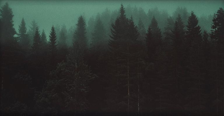 Ewa-Marie Rundquist, "Skogen", 2020.